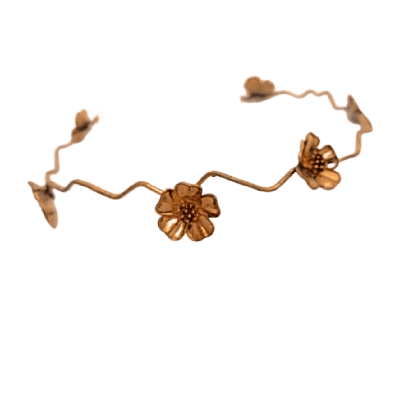 SEMI CORONA CASSIA - Imagen 6